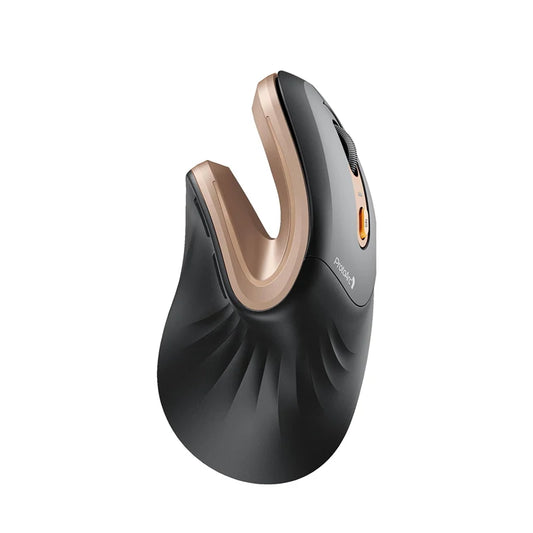 ProtoArc Ergonomic Mouse EM11 NL BT Rechargeable Wireless Vertical Mouse 2.4GHz Optical Mice for Windows, Mac OS